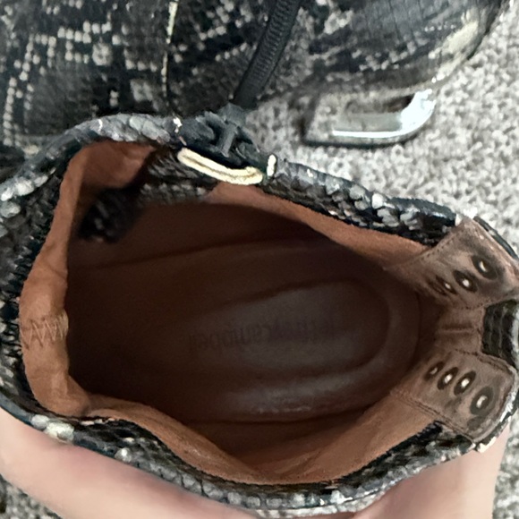 Jeffrey Campbell Snakeskin Ankle Boots - Picture 5 of 7